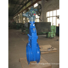 Cast Iron Electric Gate Valve